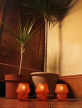 Liquid Wax Candle Catalogue